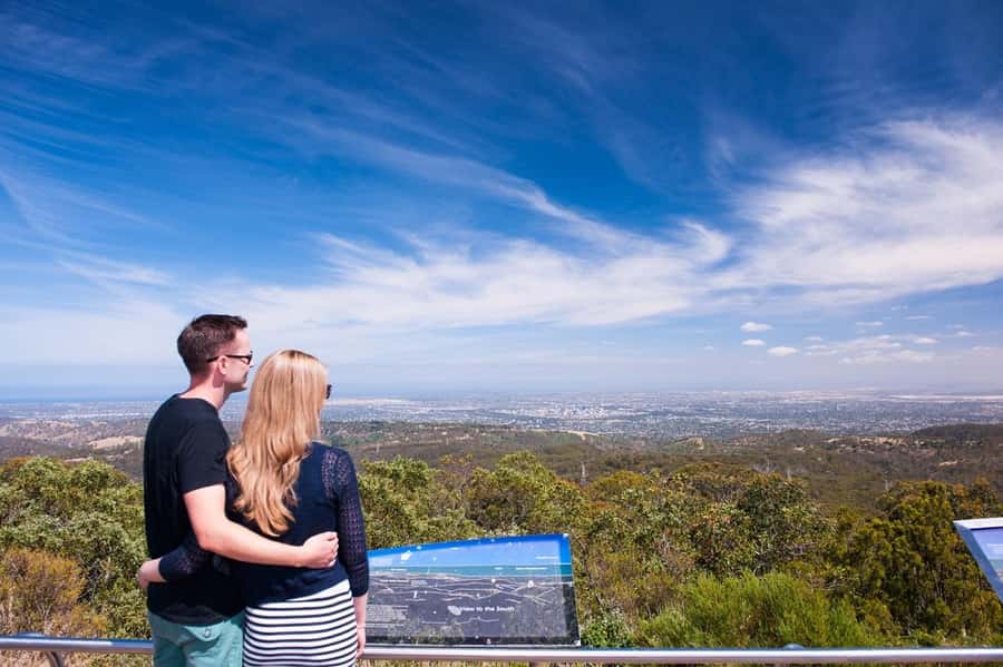 Cleland Wildlife Park Experience with Mount Lofty Summit - Koala hold as an add-on: how to decide