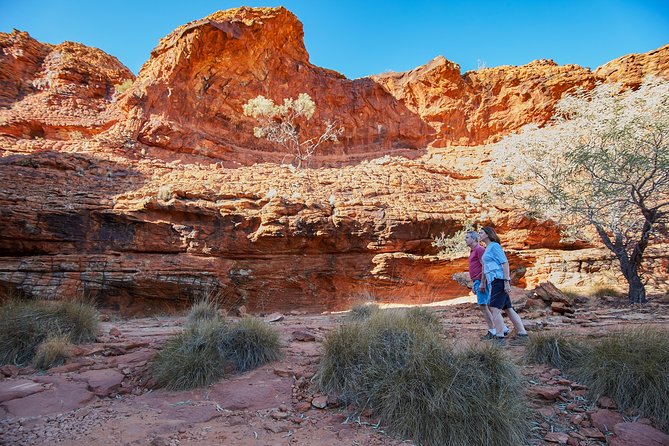 Coach Transfer from Ayers Rock (Uluru) to Kings Canyon - What the Driver Guide Adds: Cattle Stations and Sacred Aboriginal Landmarks