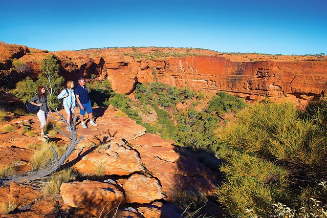 Coach Transfer from Ayers Rock (Uluru) to Kings Canyon - Timing That Actually Helps: The 09:00am Kings Canyon Arrival