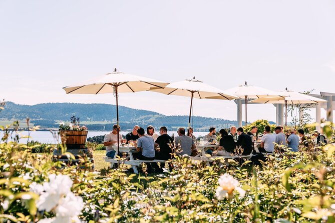 Coal River Wine Hopper - How to pace the day so you enjoy every stop