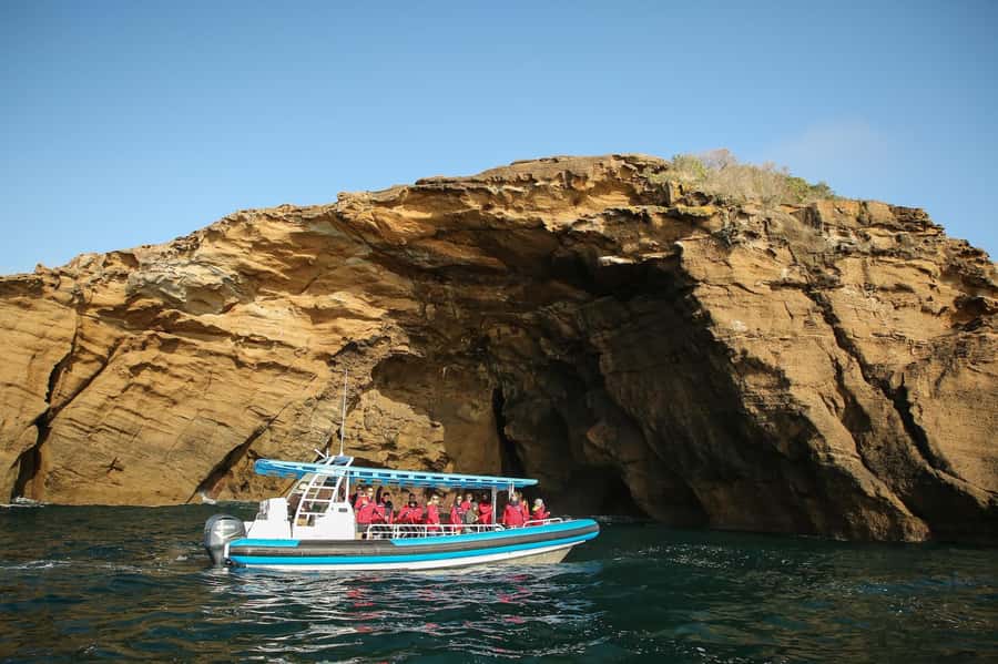 Coastal 2.5-hour Adventure Boat Tour from Newcastle - Key things I’d watch for on this Newcastle boat tour