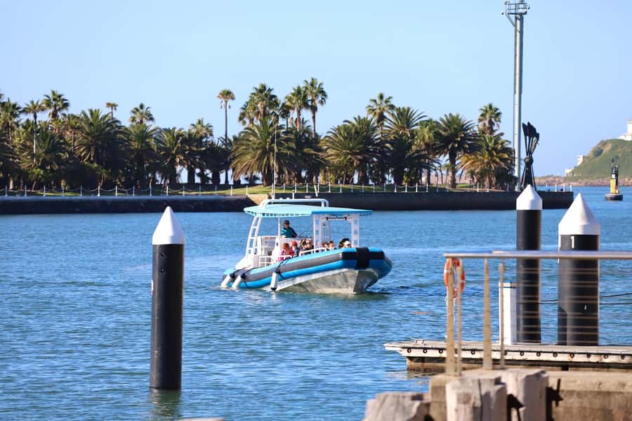 Coastal 2.5-hour Adventure Boat Tour from Newcastle - 2.5 hours on the water: the vibe of an ecotourism rigid inflatable