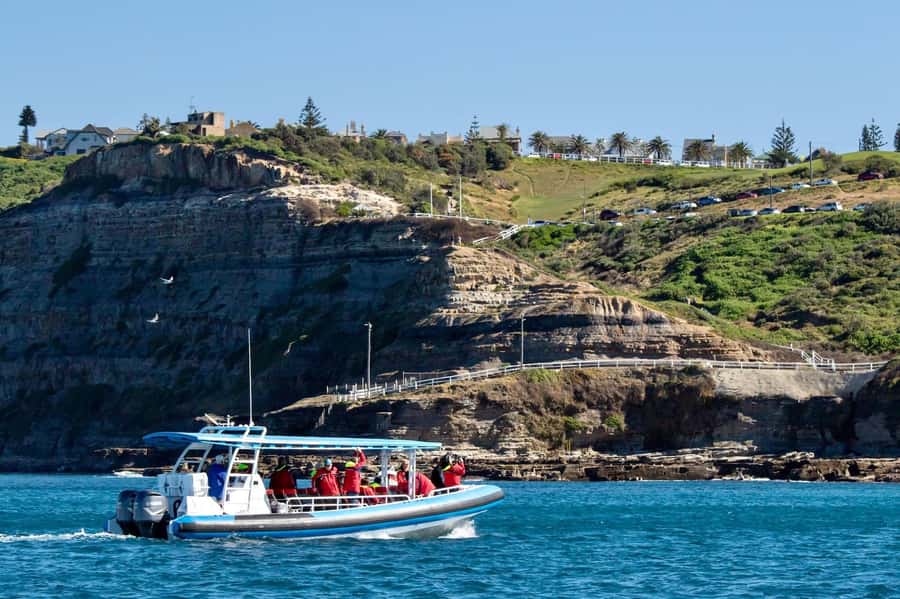 Coastal 2.5-hour Adventure Boat Tour from Newcastle - What to wear: canopy shade helps, but wind is still real