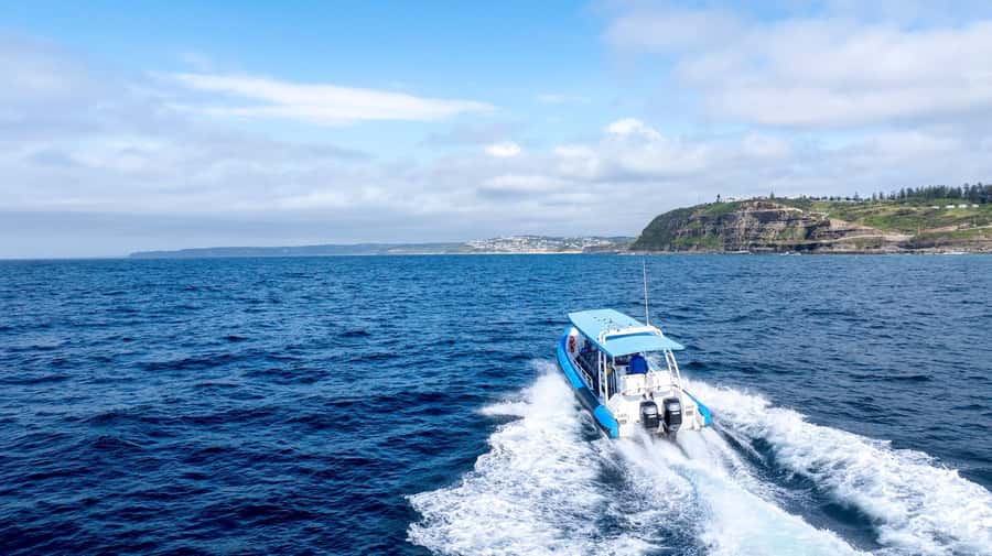Coastal 2.5-hour Adventure Boat Tour from Newcastle - Where the tour starts in Newcastle (and why timing matters)