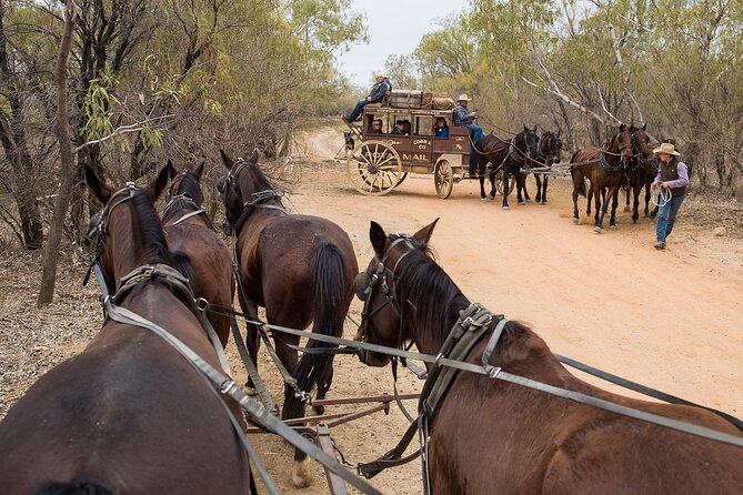 Cobb & Co Stagecoach Experience in Longreach - Old Time Tent Show at midday: slapstick, mayhem, and animal antics
