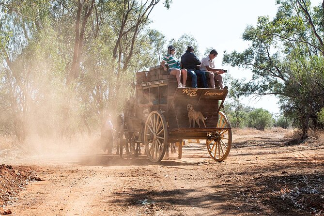 Cobb & Co Stagecoach Experience in Longreach - Price and value: what $118.35 covers (and why it can be worth it)