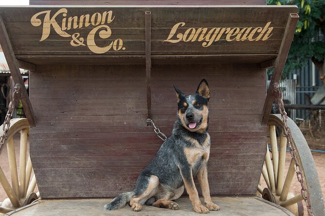 Cobb & Co Stagecoach Experience in Longreach - Who should book the Cobb & Co Stagecoach in Longreach