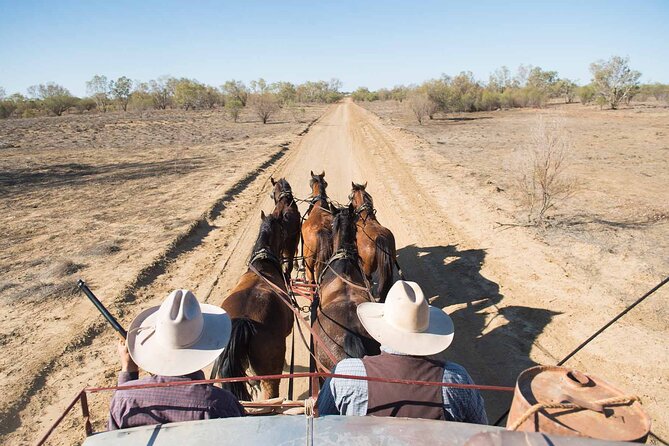 Cobb & Co Stagecoach Experience in Longreach - Should you book this stagecoach day?