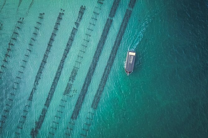 Coffin Bay Day Tour - A Taste of Coffin Bay - Key highlights worth planning around
