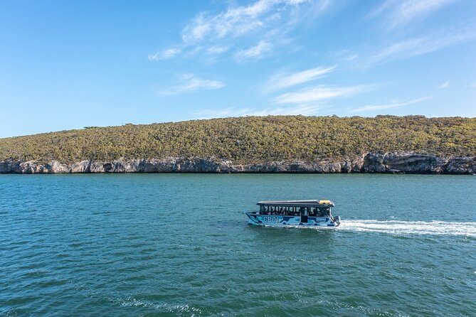 Coffin Bay Day Tour - A Taste of Coffin Bay - Oyster HQ lunch: where the seafood becomes the main event