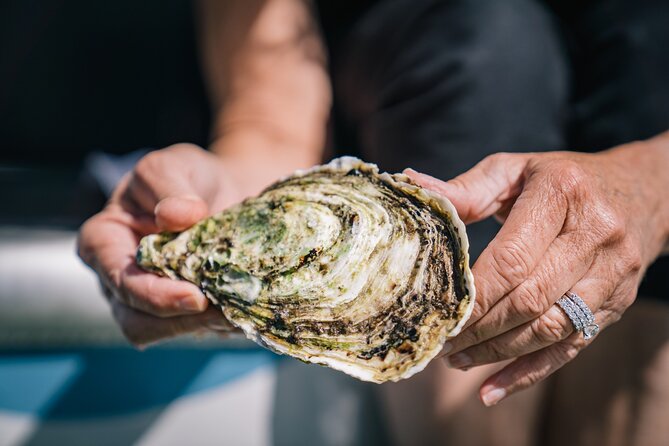 Coffin Bay Day Tour - A Taste of Coffin Bay - Boston Bay Wines: the Southern Ocean view you taste with