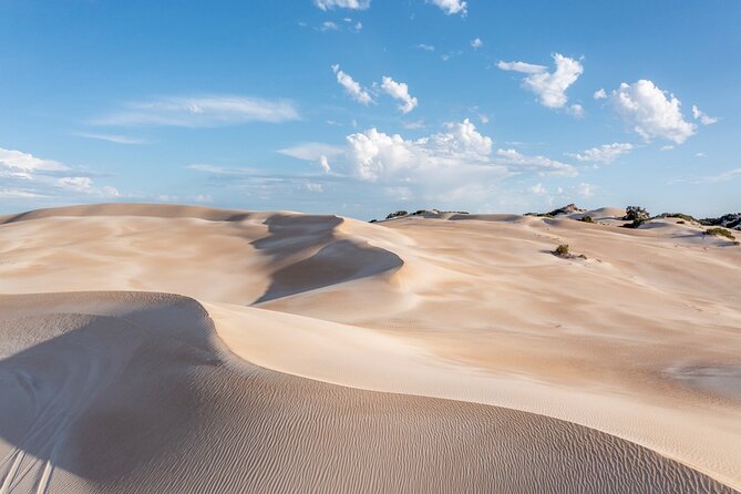 Coffin Bay National Park Half-day 4WD Tour - Key things I’d watch for before you go