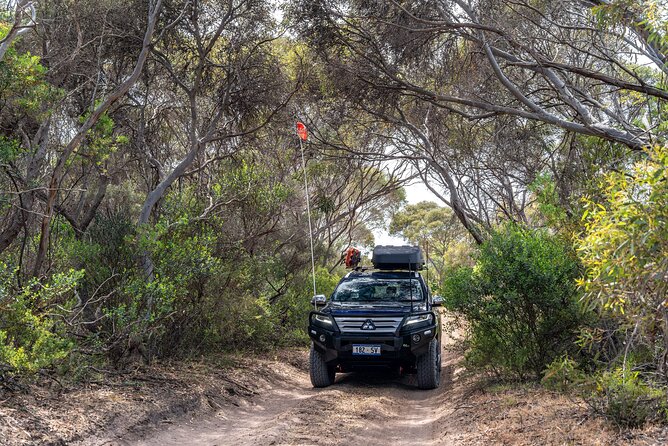 Coffin Bay National Park Half-day 4WD Tour - Golden Island lookout: a viewpoint with context