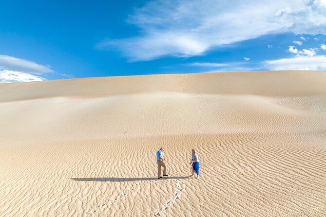 Coffin Bay National Park Half-day 4WD Tour - Emu encounters and everyday wildlife spotting