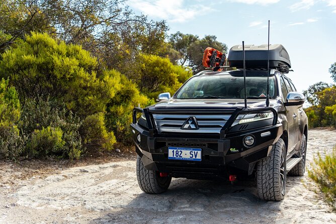 Coffin Bay National Park Half-day 4WD Tour - The guide experience: what Ben brings to the day