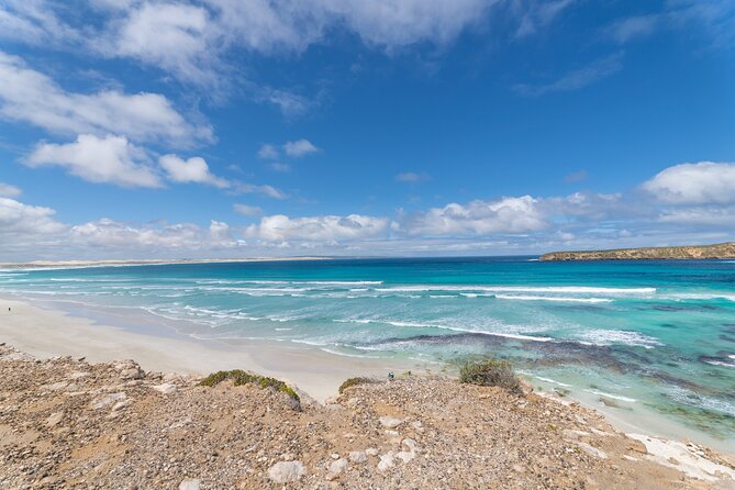 Coffin Bay National Park Half-day 4WD Tour - Coffin Bay National Park: turquoise water, white sand, and birdlife stops