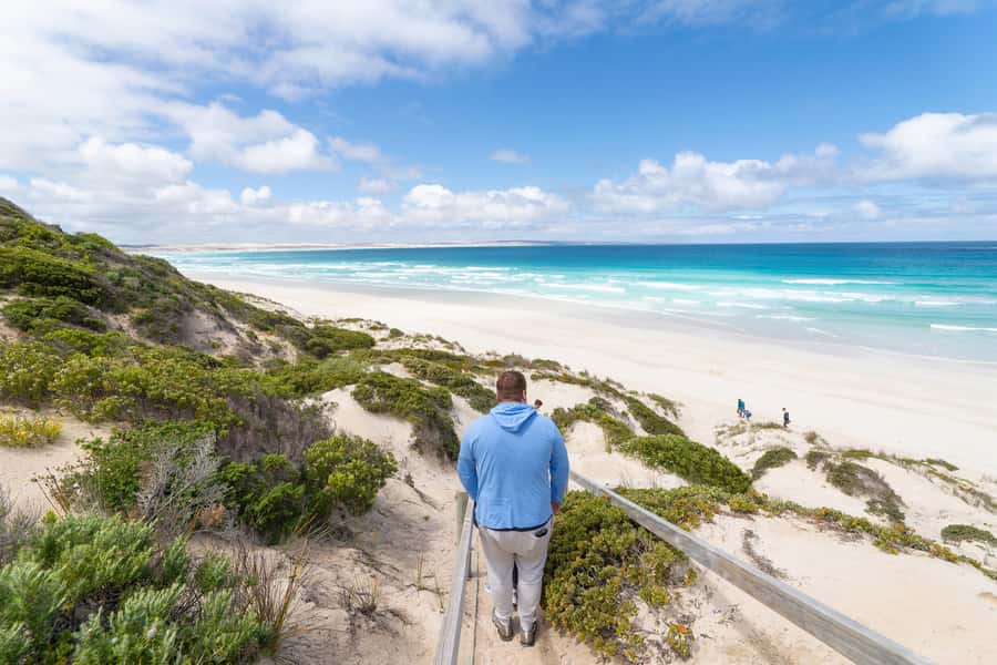 Coffin Bay National Park: Highlights and Off-Road 4WD Tour - Limestone Coastline: Cliffs, Pristine Bays, and Wildlife Scanning