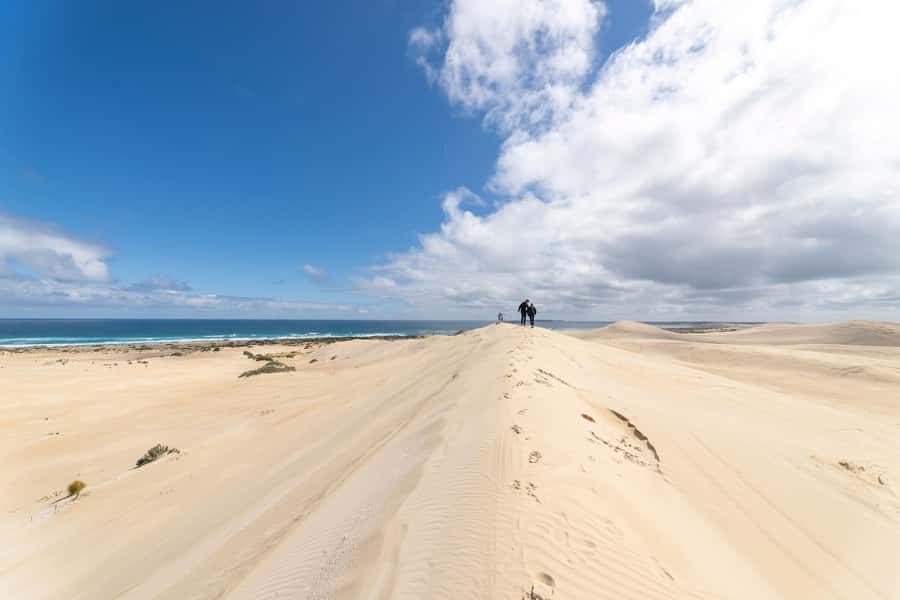 Coffin Bay National Park: Highlights and Off-Road 4WD Tour - Duration, Flow, and What You’ll Actually Do in 4 Hours