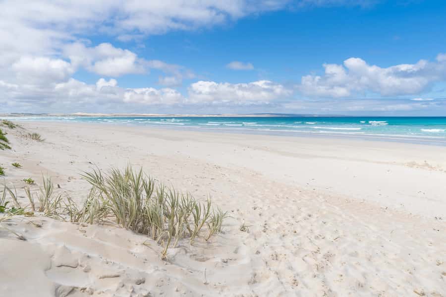 Coffin Bay National Park: Highlights and Off-Road 4WD Tour - What to Bring (and How to Avoid the Common Comfort Traps)