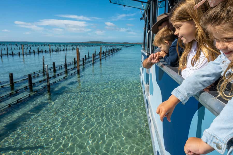 Coffin Bay: Oyster Farm Boat Tour with Wading & 12 Oysters - Can you swim? Yes, but be ready for the bay