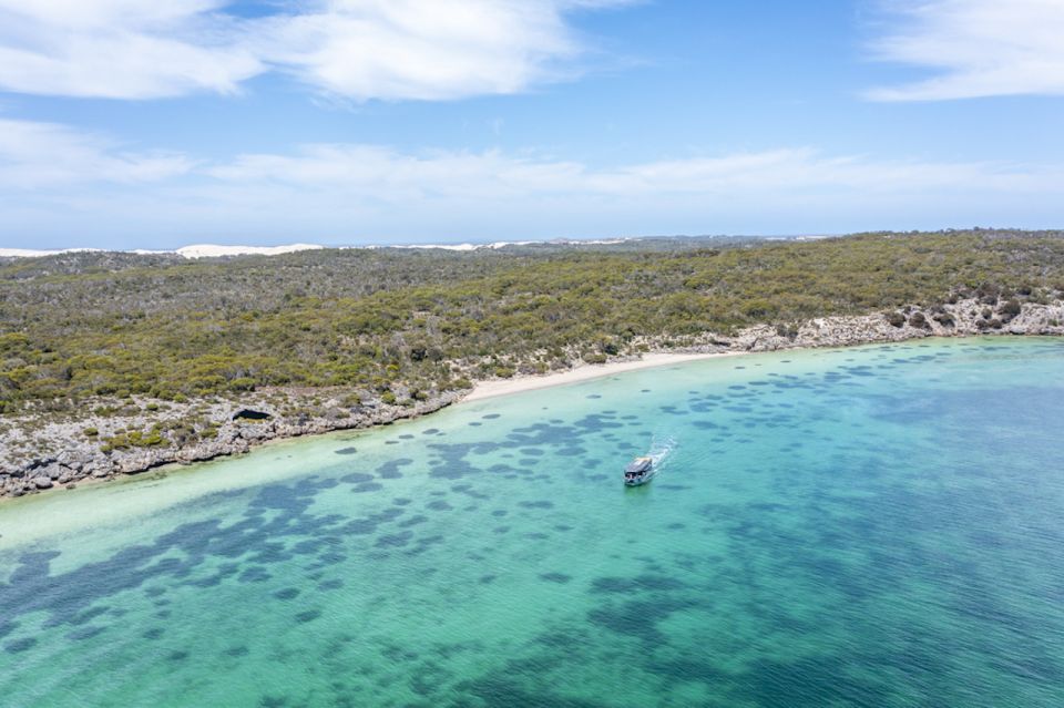 Coffin Bay: Oyster Farm Boat Tour with Wading & 12 Oysters - Wildlife and viewpoints: the stops that add variety