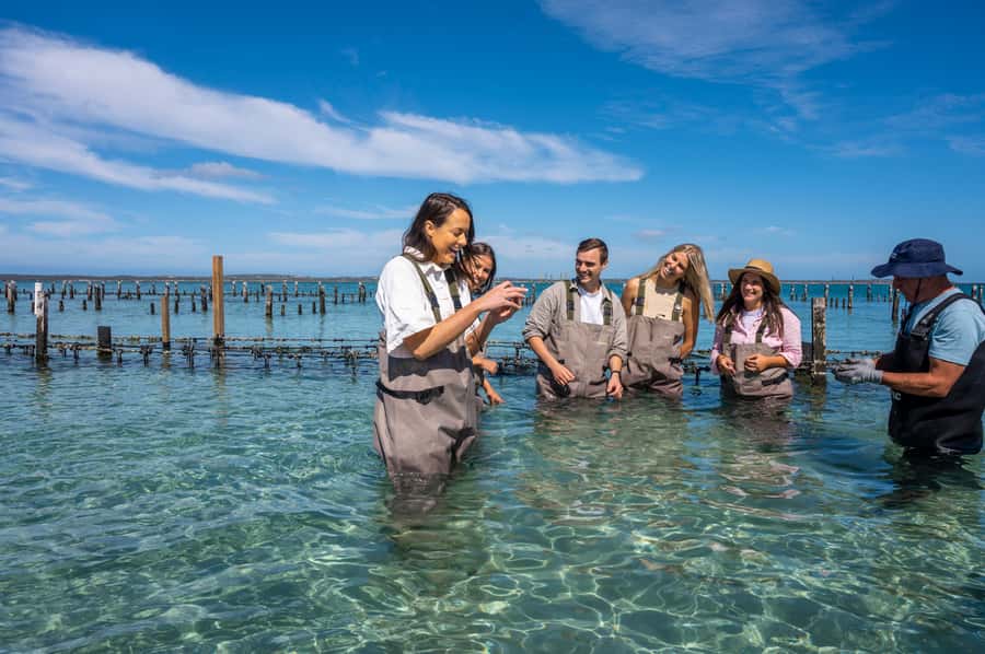 Coffin Bay: Oyster Farm Boat Tour with Wading & 12 Oysters - Who’s guiding you, and why it matters