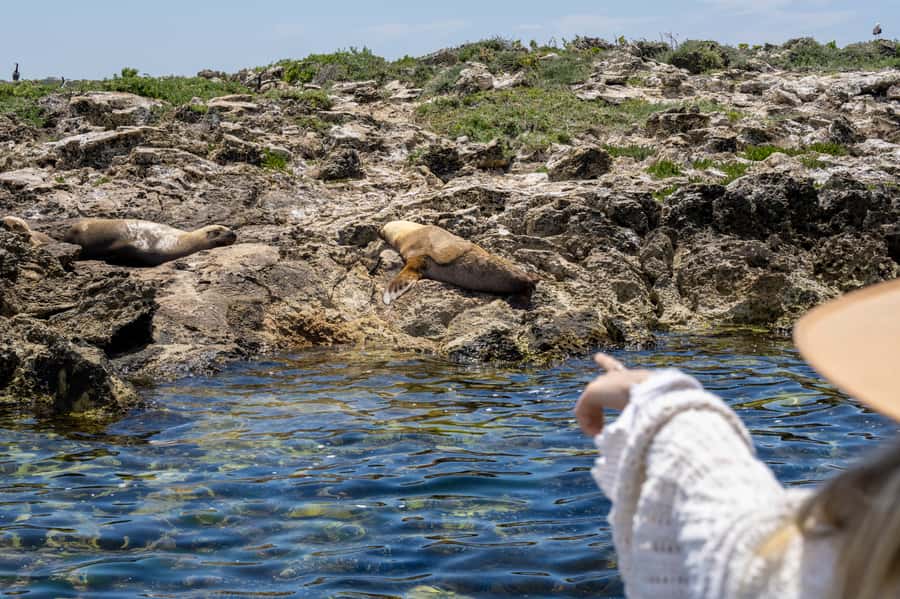 Coffin Bay: Oyster Farm Boat Tour with Wading & 12 Oysters - Price and value: is $130 worth it?