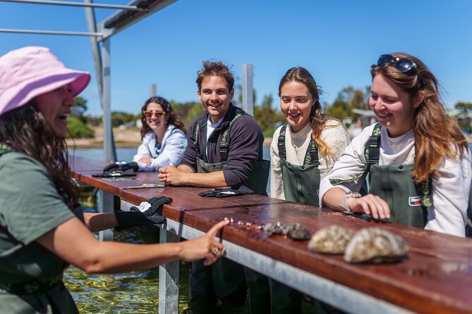 Coffin Bay Oyster Farm Wading Tour & Tasting Experience - Learning to Shuck: The Skill Part That Changes How You Eat Oysters