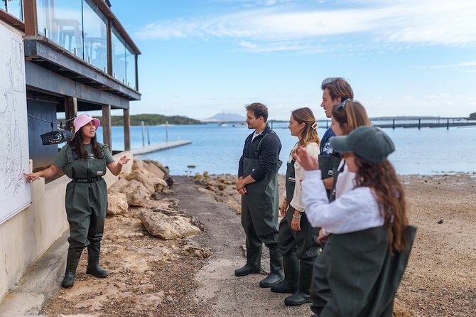 Coffin Bay Oyster Farm Wading Tour & Tasting Experience - Tasting Pacific and Angasi Oysters (Plus Optional Drinks or Platters)