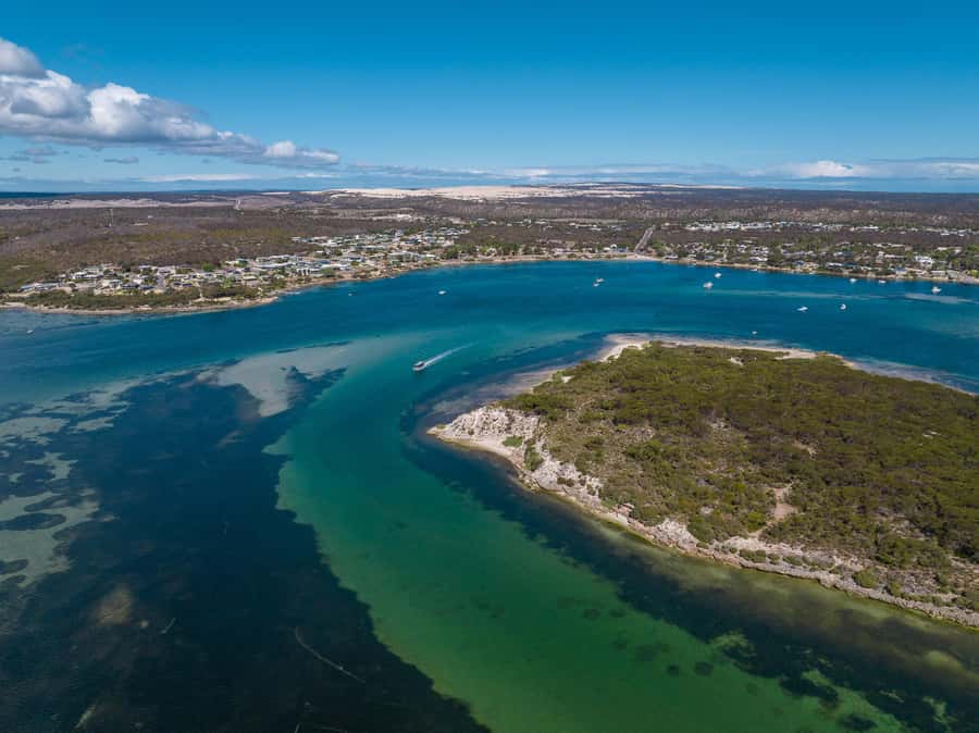 Coffin Bay: Short and Sweet Oyster Farm Tour - Price and value: what $63 buys you (and why it feels fair)