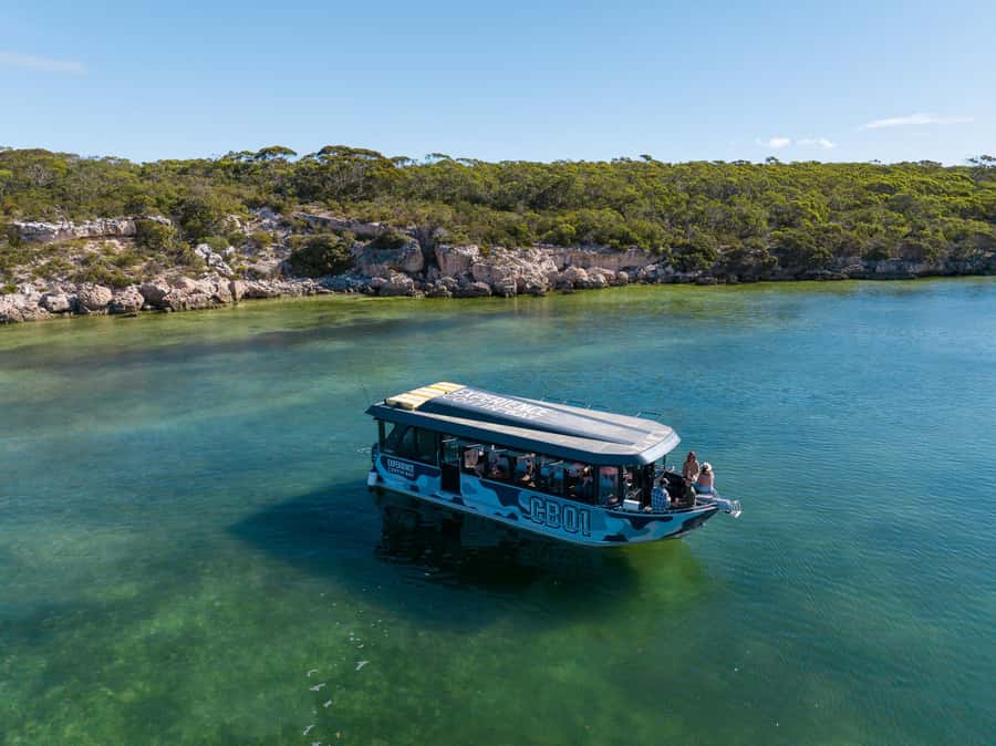 Coffin Bay: Short and Sweet Oyster Farm Tour - Viewpoint stop and guided tour: where the story turns practical