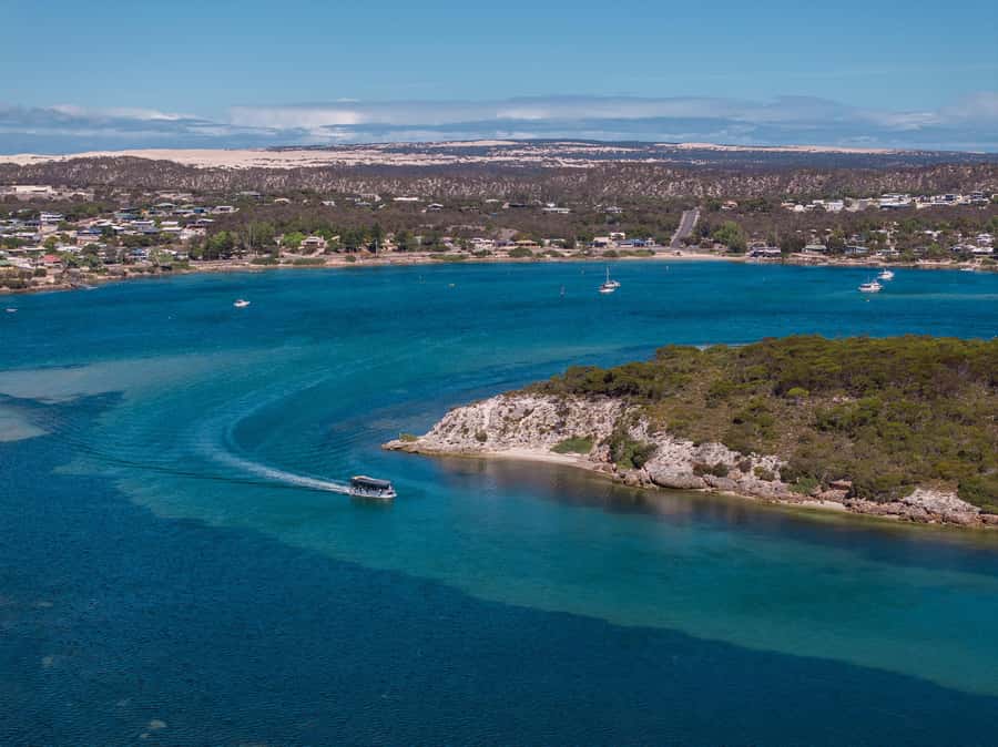 Coffin Bay: Short and Sweet Oyster Farm Tour - The shucking lesson: learning the skill behind the best bite