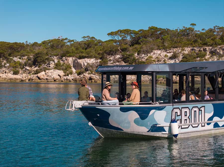 Coffin Bay: Short and Sweet Oyster Farm Tour - Six oysters: tasting that actually supports the lesson