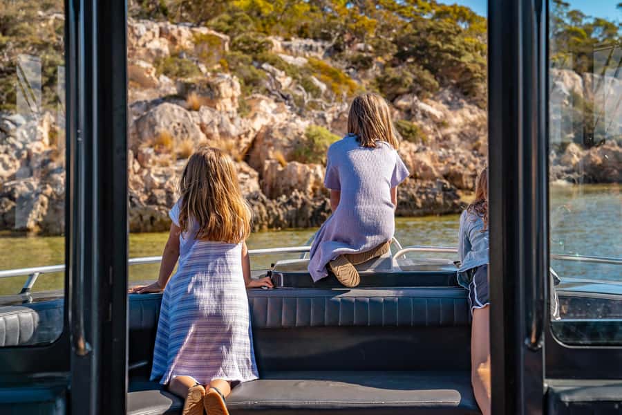 Coffin Bay: Short and Sweet Oyster Farm Tour - Native Angasi oyster reef restoration: the part that gives meaning