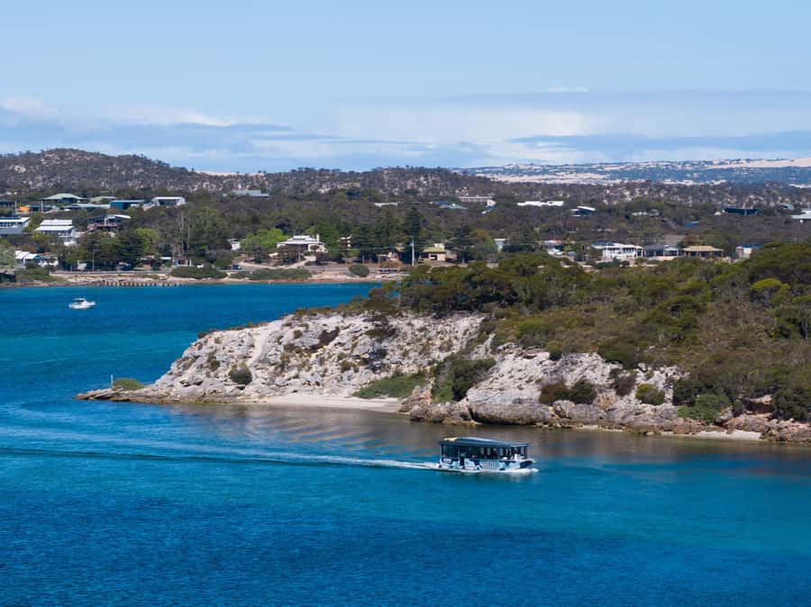 Coffin Bay: Short and Sweet Oyster Farm Tour - The short sightseeing cruise: you see the coast before the lesson