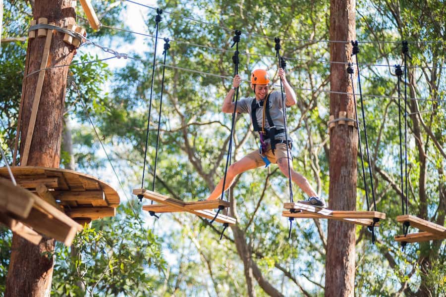 Coffs Harbour: Treetops Adventure Tree Ropes Course - Your 150-minute run: how the course feels in real time