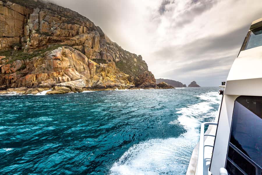 Coles Bay: Wineglass Bay Adults-Only Cruise with Lunch - Wildlife Watching: What You Can Actually Expect to See