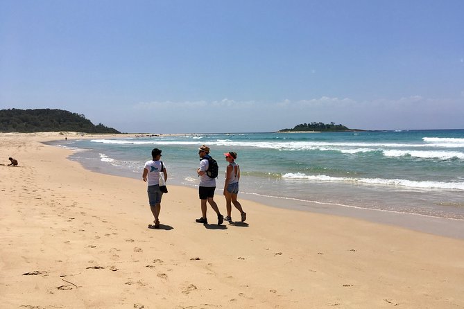 Conjola Tours - Wildlife odds: what’s realistic to hope for