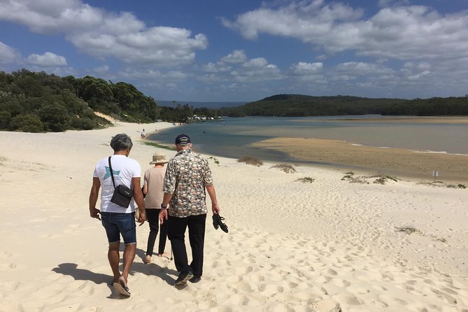 Conjola Tours - The lakeside/bush boardwalk section: look up, look closer