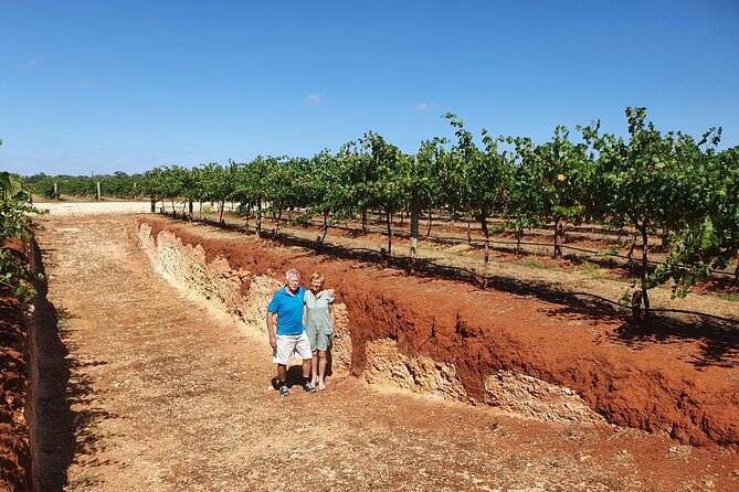 Coonawarra Half Day Wine Tour With Lunch - Hosts and pacing: why small groups feel easier