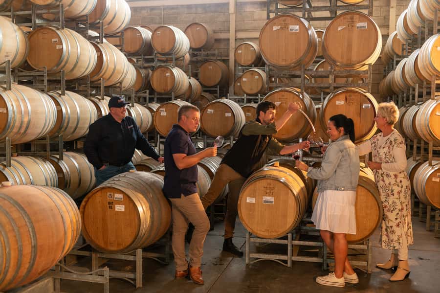 Coonawarra Highlights Wine Tour With Lunch - Patrick of Coonawarra: lunch platter, wine pairing, and cheese tasting time