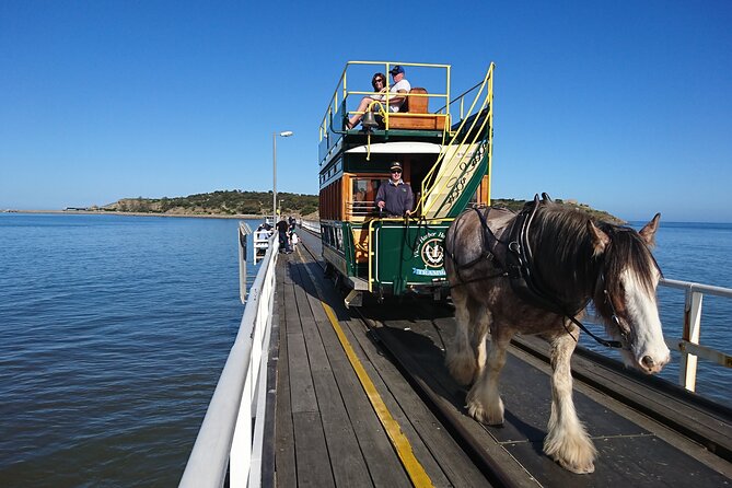 Coorong 3 & 1/2 Lunch Cruise and Tour - Goolwa Wharf to the Murray Mouth: the Coorong cruise experience you came for