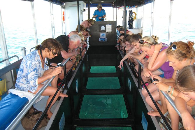 Coral Bay 1-Hour Coral Viewing - Key points before you go