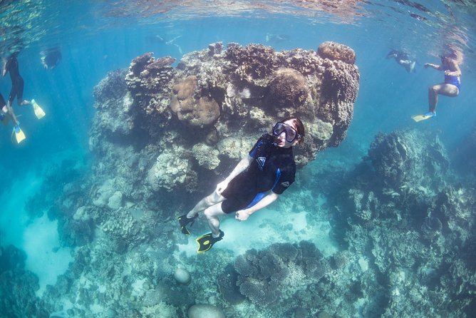 Coral Bay: 2-Hour Coral Viewing and Snorkeling - Guides, safety, and how the crew actually makes the day easier