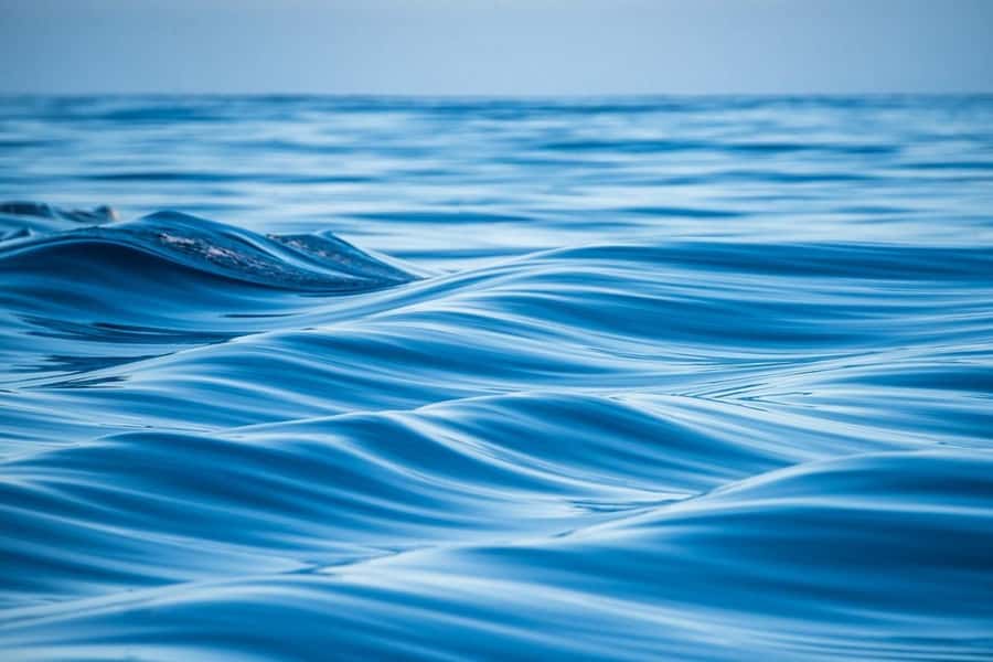 Coral Bay: Full Day Ningaloo Reef with Manta Rays Tour - Key Things That Make This Tour Work
