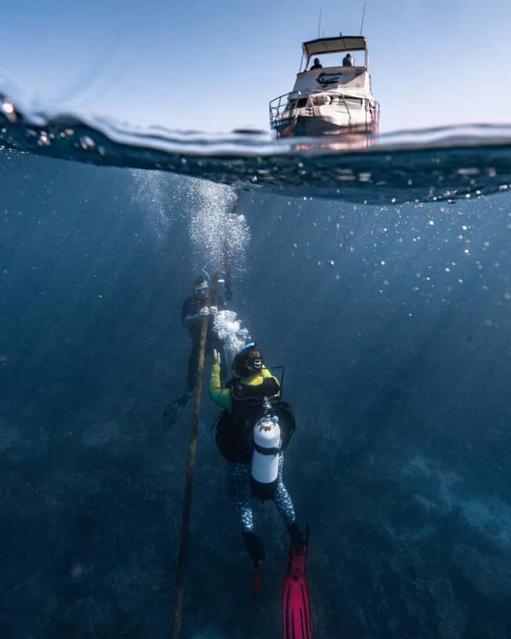 Coral Bay: Full Day Ningaloo Reef with Manta Rays Tour - Marine Life Beyond the Mantаs (What You Might See)