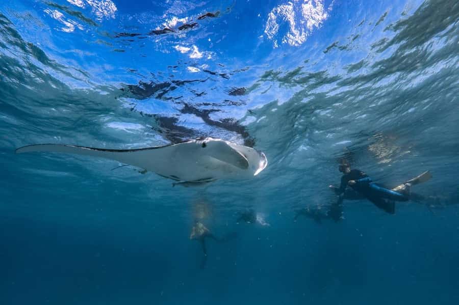 Coral Bay: Full Day Ningaloo Reef with Manta Rays Tour - Starting at 8:00am: Getting Kitted Up and Ready