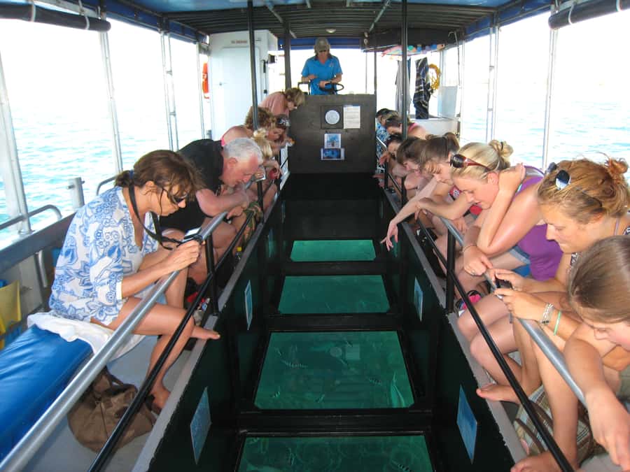 Coral Bay Glass-Bottom Boat Tour - Why Coral Bay’s Ningaloo Reef Looks So Good From the Glass