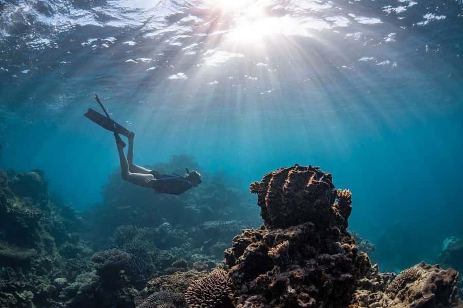 Coral Bay: Half Day Ningaloo Reef Adventure with Manta Rays - Morning tea, buffet lunch, and why food timing matters