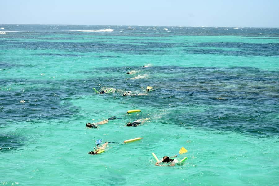 Coral Bay: Ningaloo Reef 3-Hour Turtle Ecotour - Glass-bottom boat time: the smart way to see turtles without getting in yet